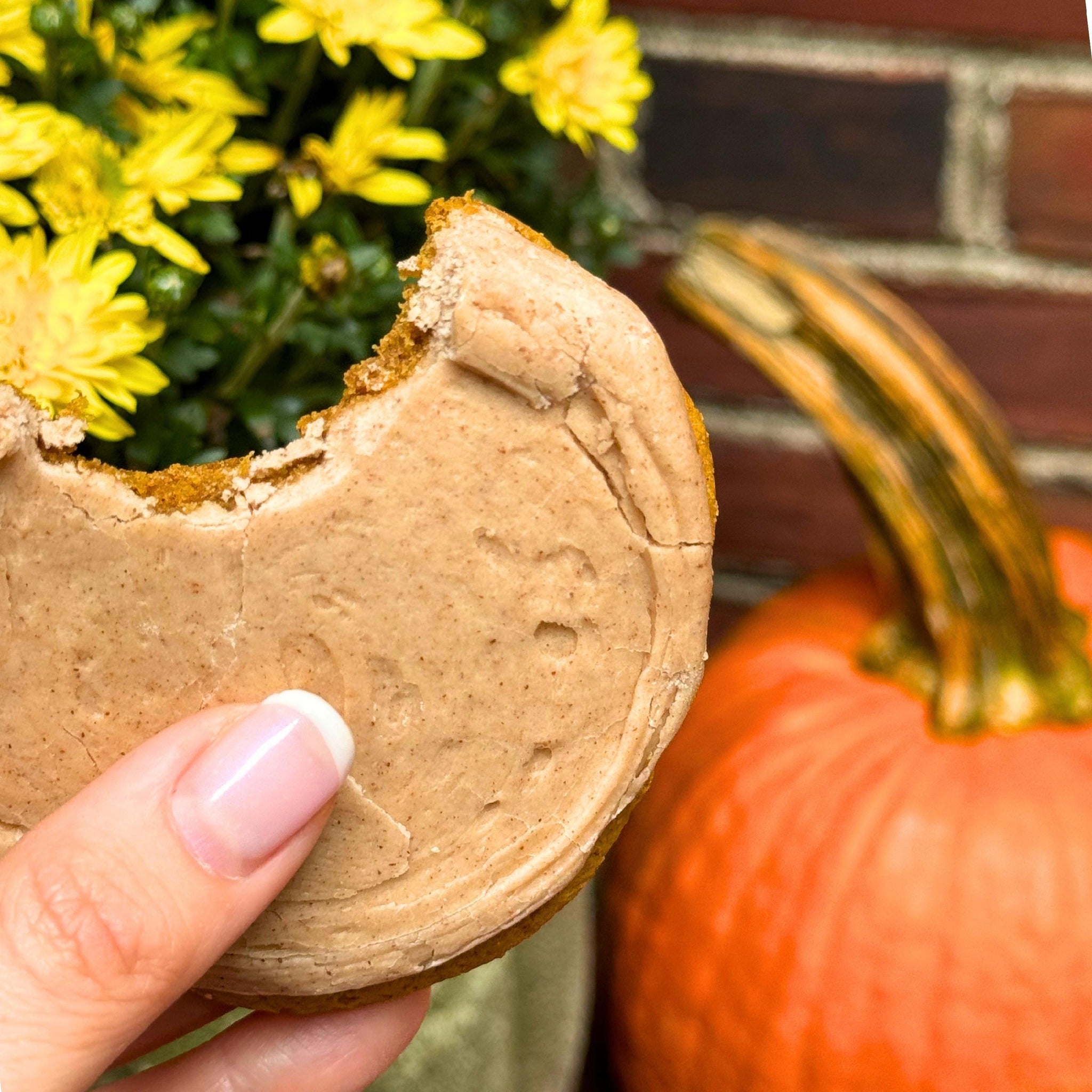 Embrace the Magic of Pumpkin Spice Season with Really Good Cookies