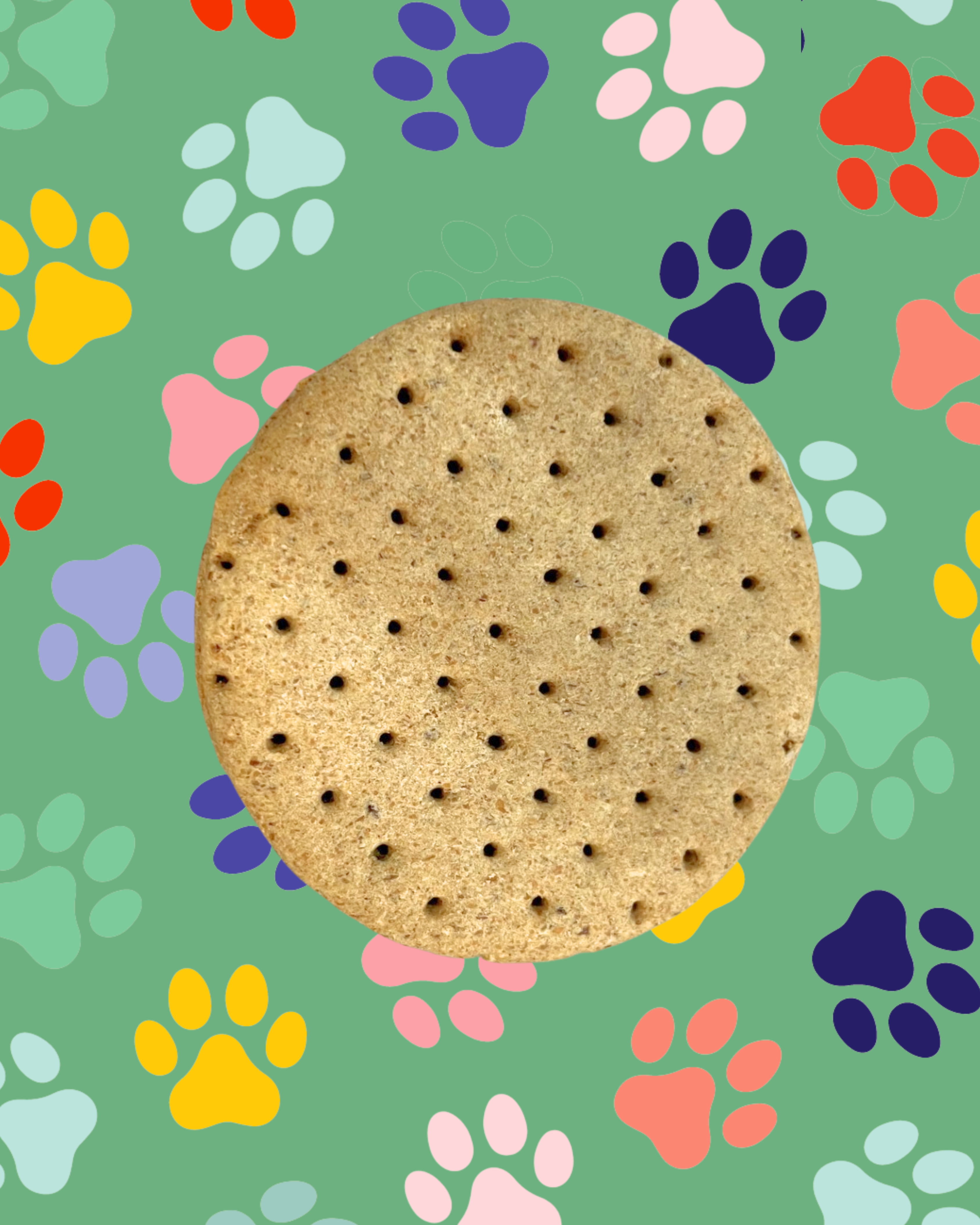 Biscuit's Dog Biscuit