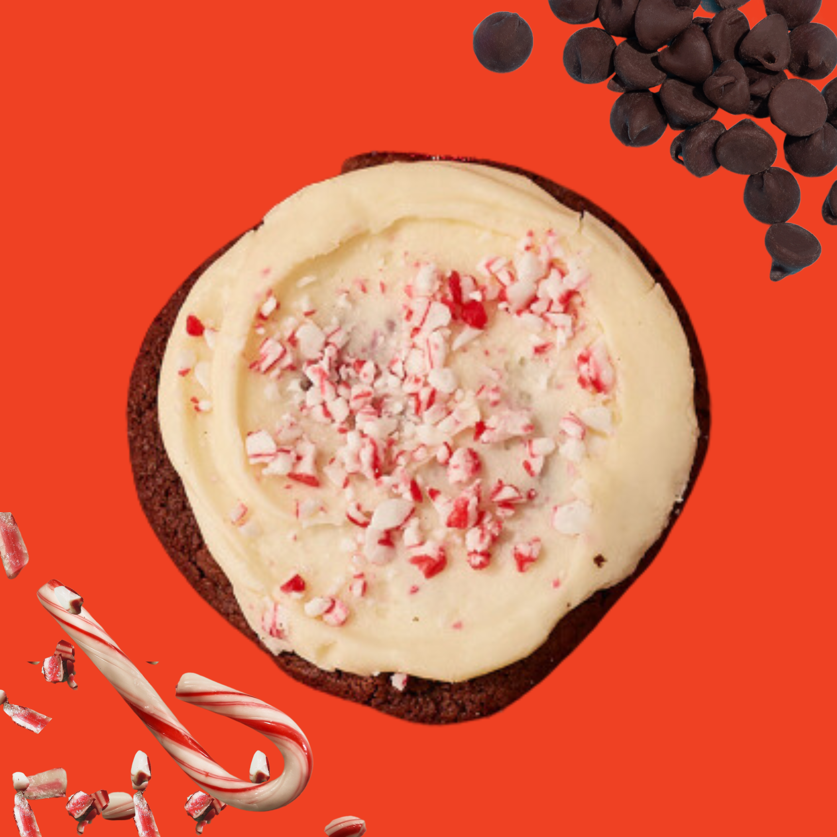 Chocolate Candy Cane Buttercream Cookie